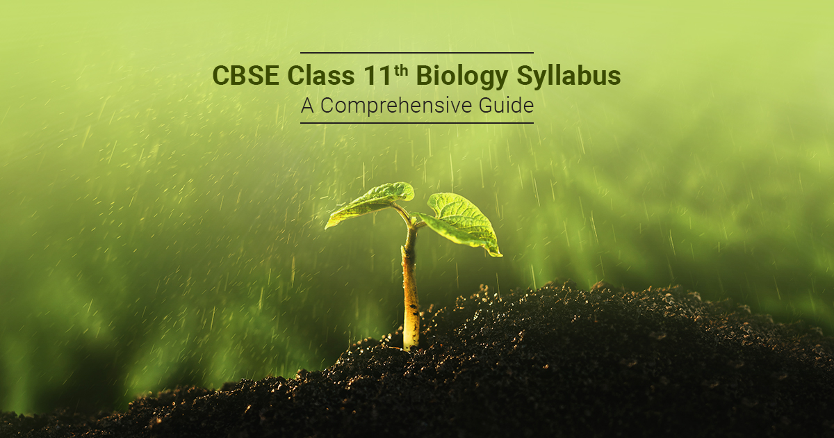 CBSE Class 11 Biology Syllabus  A Comprehensive Guide